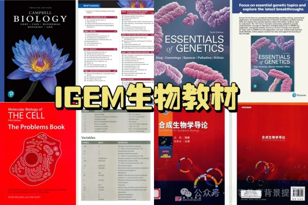 IGEM竞赛主题赛道汇总！为什么建议全学科学生参加IGEM？