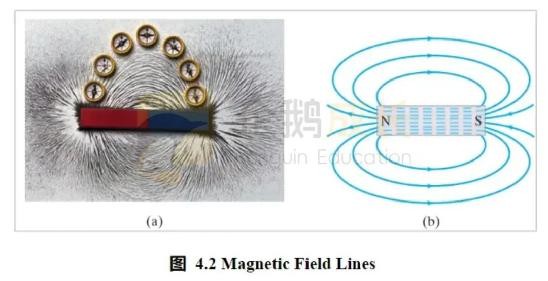 AP物理4门学科核心要点分析！看完学习不慌