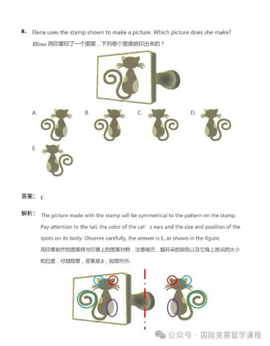 孩子从大班到三年级的数学没给参加袋鼠竞赛，真是后悔麻了！袋鼠竞赛真题及解析分享