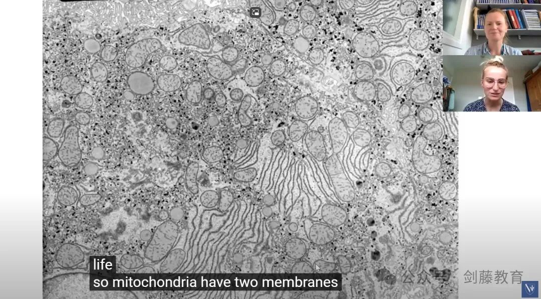 牛津剑桥化学与生物相关专业面试如何考察学术能力？带你深入剖析大学官网的面试案例与解题思路