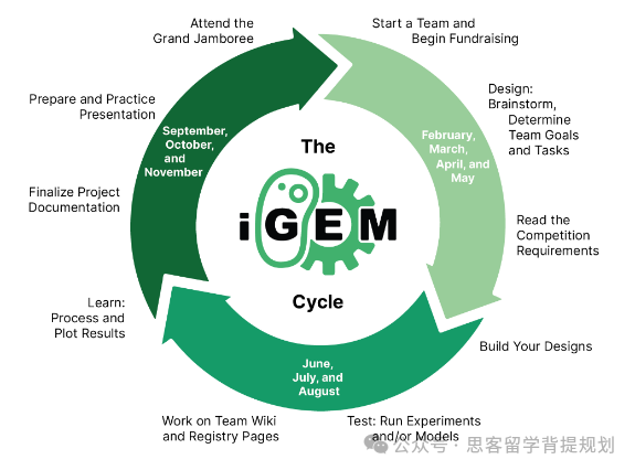 为什么参加iGEM竞赛？iGEM竞赛含金量如何，有哪些优势？