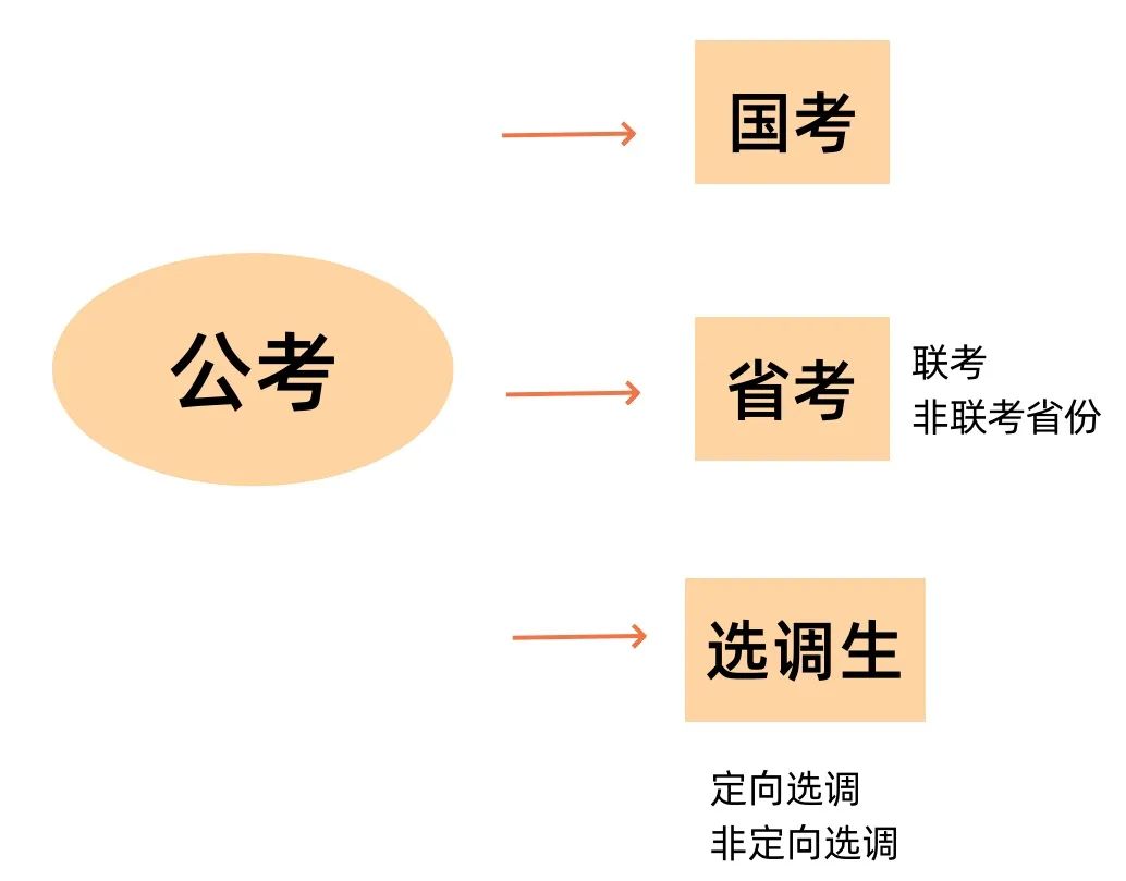 艺术生考公、考编、选调具体程序解析