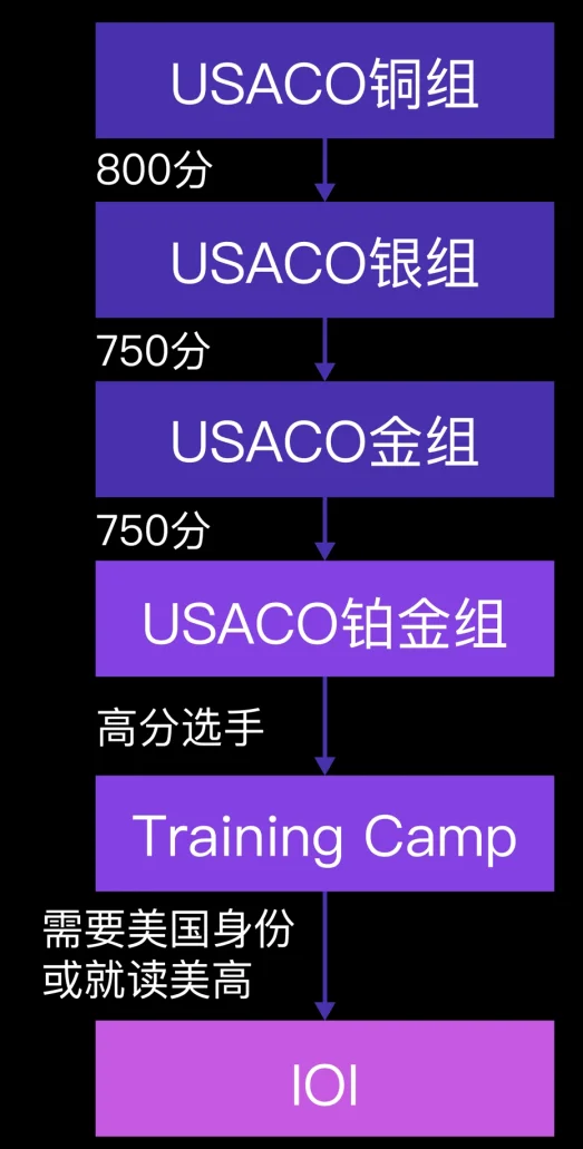 USACO竞赛几年级可以参加？需要备考多长时间？