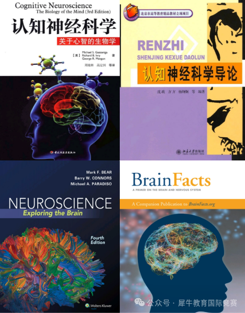 关于Brain Bee脑科学大赛终于有人说明白了！从0到拿奖必看！