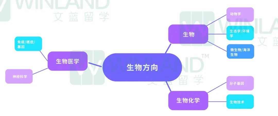 2024诺贝尔生理学/医学奖公布！G5本科相关专业录取率不到3%！？