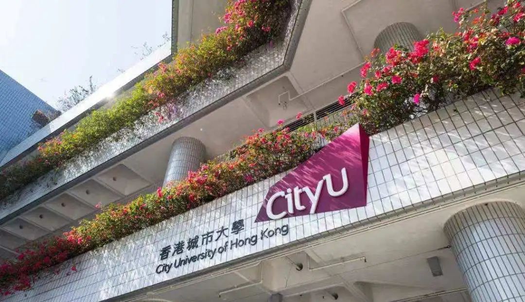 博士（PhD）申请攻略 | 香港城市大学（CityU)导师简介（307）