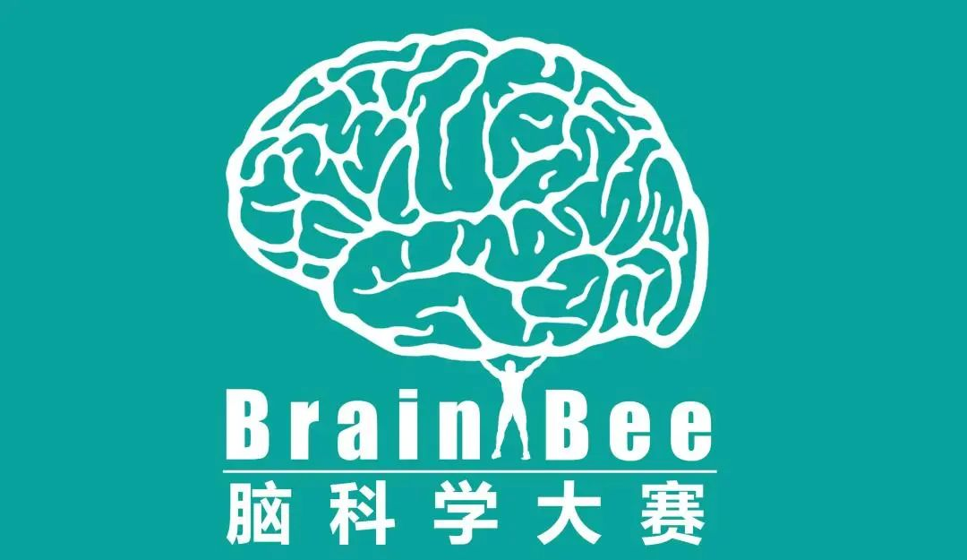 高含金量竞赛｜Brain Bee脑科学大赛一文详解！