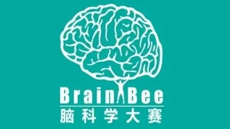 Brain bee脑科学竞赛参赛价值及备考内容盘点！初中生入门生物竞赛必备~