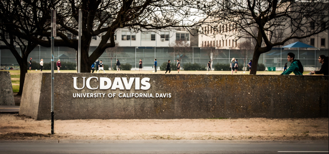 想留学深造？美国加州大学戴维斯分校（UC Davis）的这个专业你不能错过！（46）