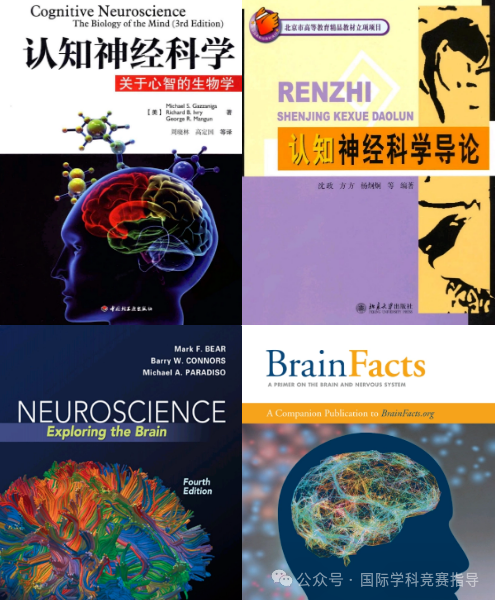 零基础怎么准备Brain Bee脑科学大赛？Brain Bee推荐教材下载