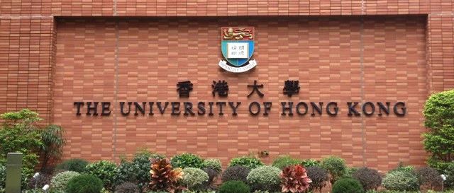 香港大学导师保姆级解析（HKU，Prof. Wang，Han）