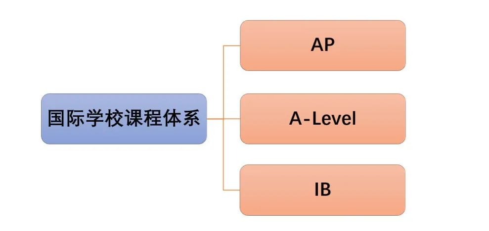 国际课程也存在鄙视链？初升高IB、Alevel、AP科普帖