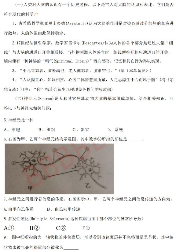 2025BrainBee脑科学活动常见问题解答~附BrainBee真题