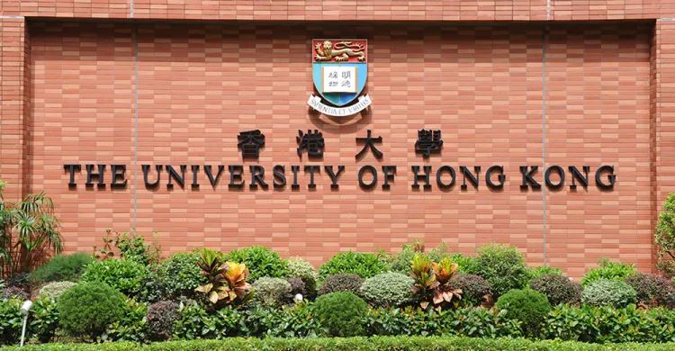 港大发布2023-2024学年最新申录数据！内地学生比例如此之高？