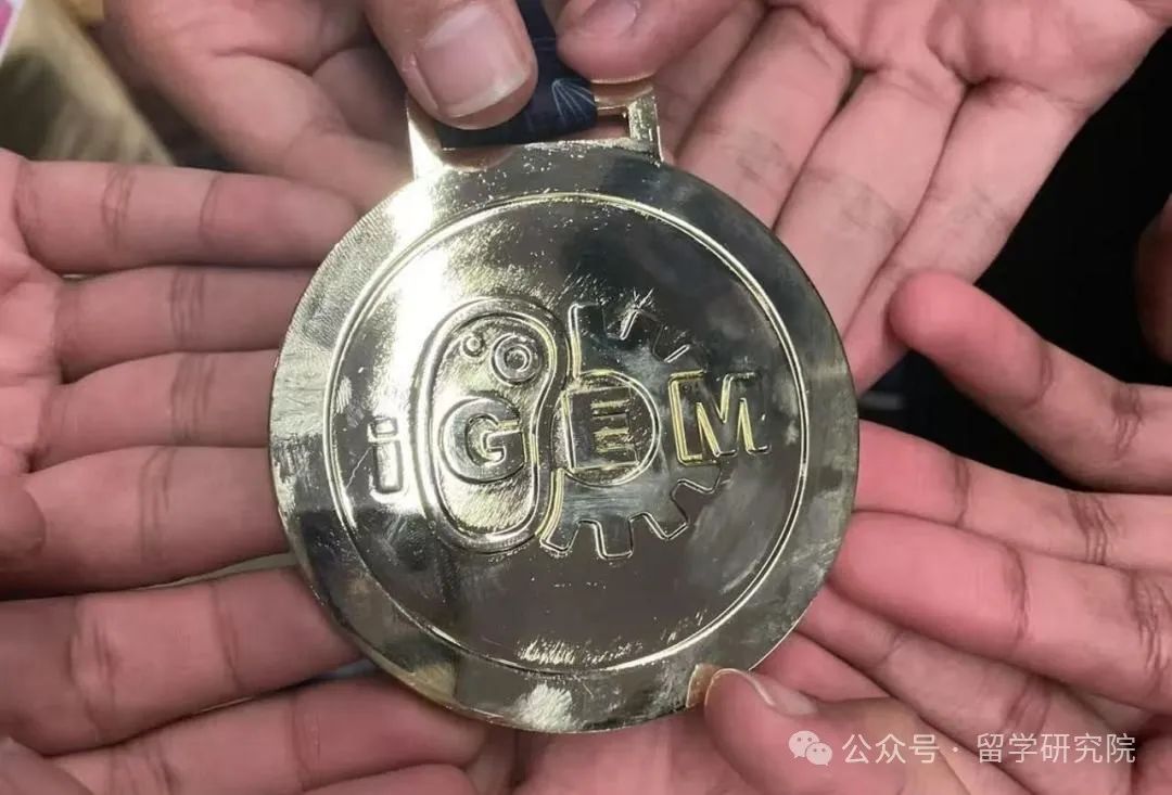 iGEM竞赛获奖名单出炉！iGEM竞赛到底是什么？IGEM竞赛考点解析！