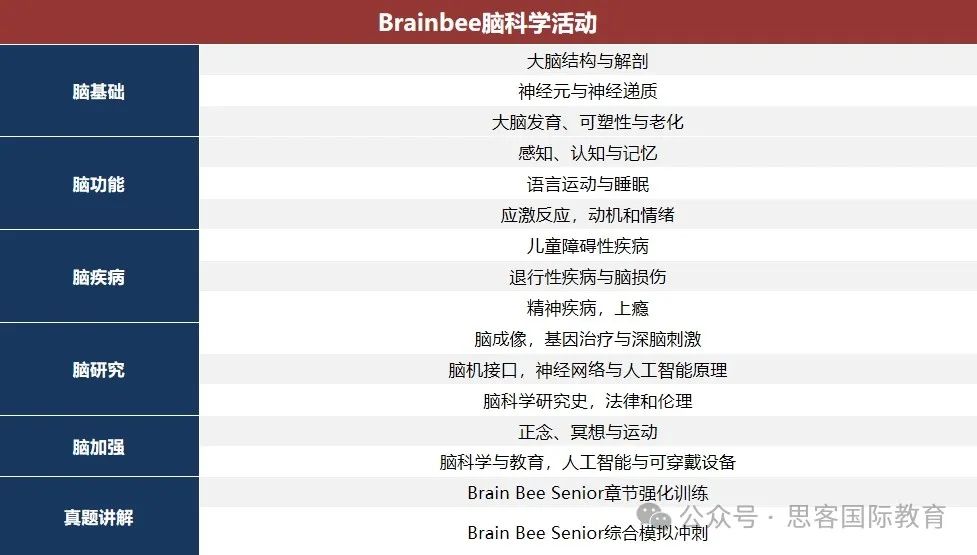 25年Brainbee脑科学大赛如何报名？备赛资源有哪些？附机构Brainbee辅导班！