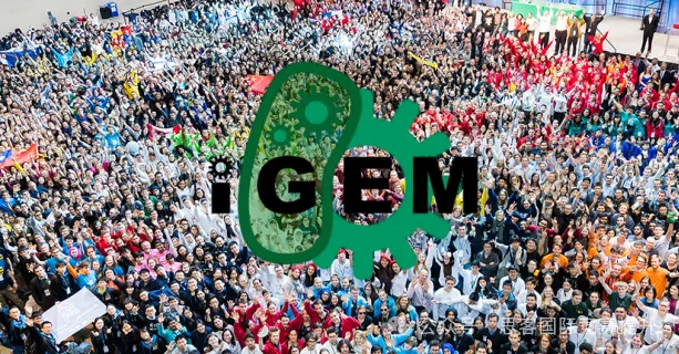 iGEM全球总决赛圆满结束！iGEM含金量再次被刷新！iGEM2025应该如何准备？