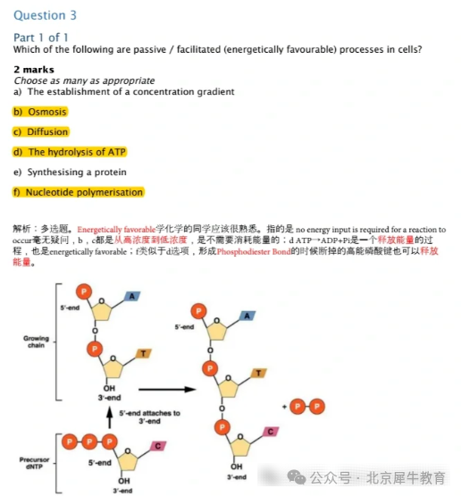 顶流BBO生物竞赛含金量如何？剑桥名师亲授bbo生物竞赛课程！直冲金奖！