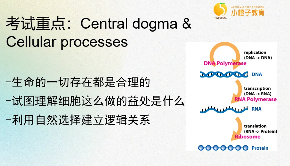 理科生必看！AP科学类科目全面解读&选科指南（生化篇）