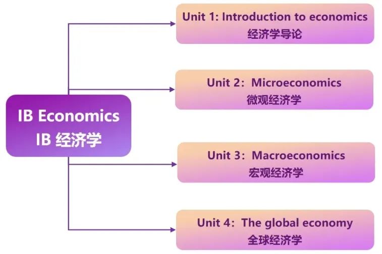 IB经济 | 一门永远不如BM热门，但高分率和认可度碾压BM的神奇学科！