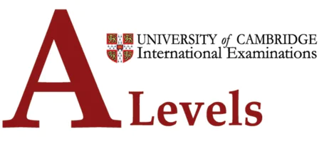 英国高中留学必看！全面解析A-level课程