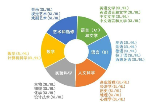 AP与IB怎么选？适合你的才是最好的！