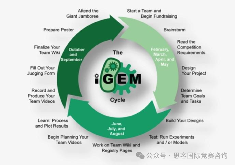 iGEM竞赛规则/参赛流程是什么？2025年iGEM竞赛现在备赛是最好时机！