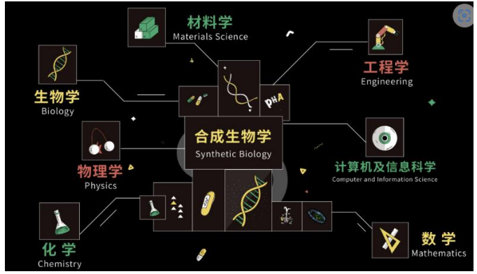 参加合成生物学&iGEM比赛有什么收获?附igem比赛备考重点？