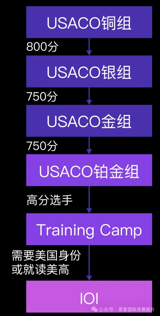 小升初也能参加的USACO美国计算机奥数竞赛！USACO等级直接对比美国名校！