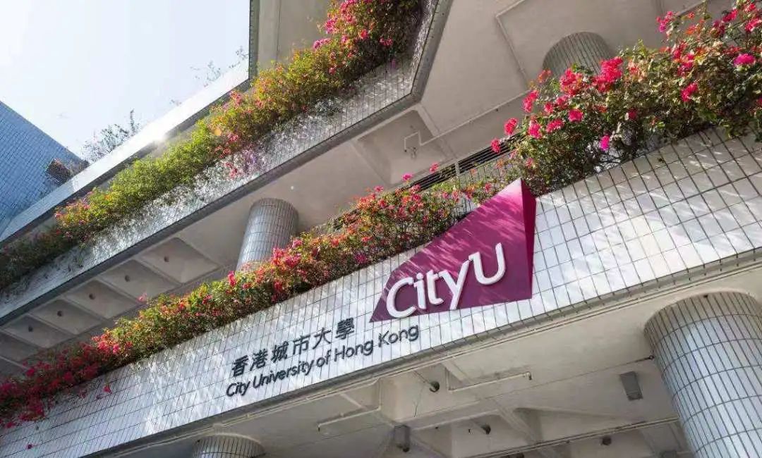 博士（PhD）申请攻略 |香港城市大学(CityU)导师简介（344）