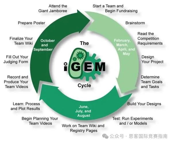 参加2025iGEM竞赛请进！iGEM竞赛全指南来啦！