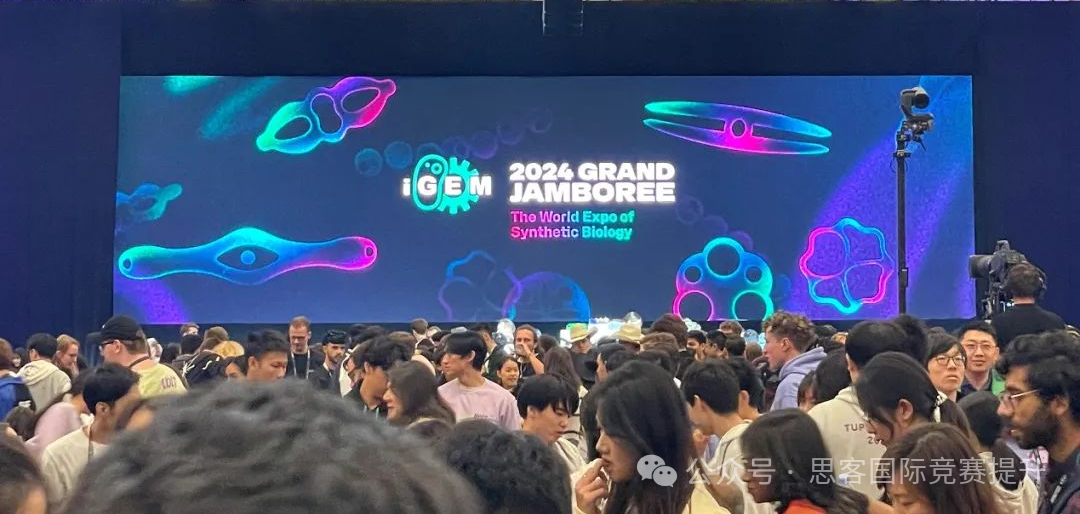 iGEM2024获奖情况分析！iGEM的金银铜奖究竟有多难获得？