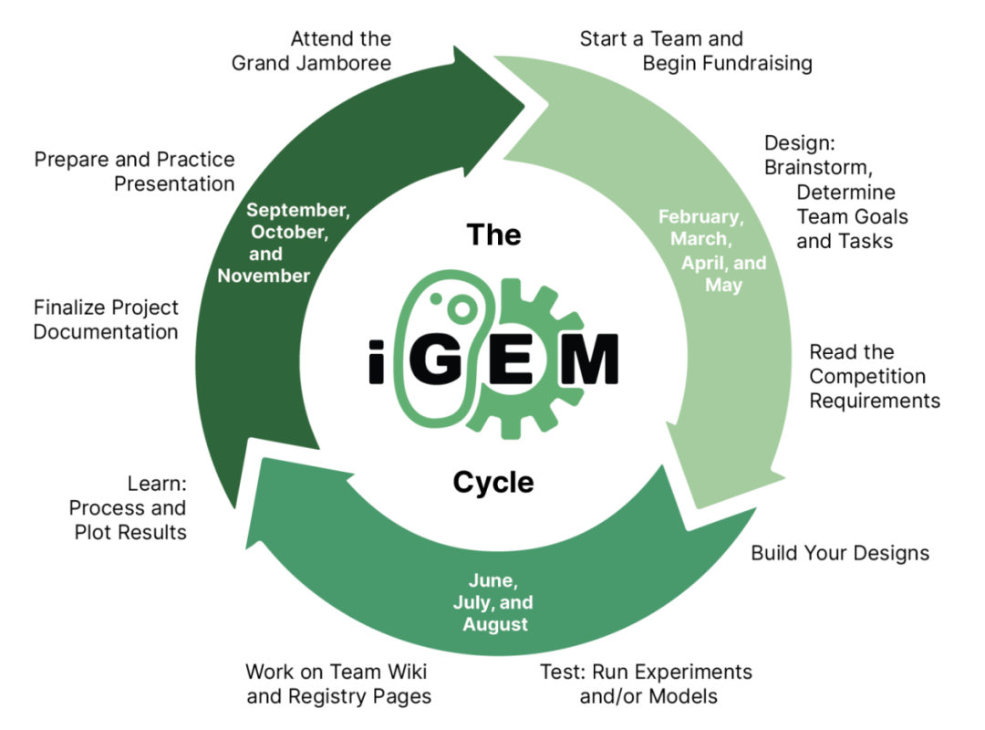 iGEM全球金奖备赛经验分享！