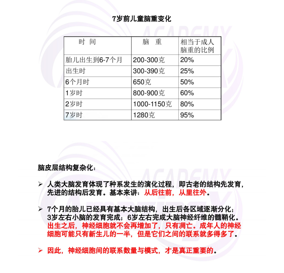 2025 BrainBee高年级组小班报名中！