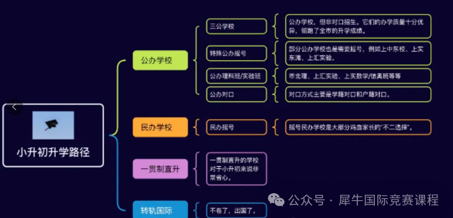 24年上海三公学校录取数据 怪不得这么多家长愿意从小鸡娃！