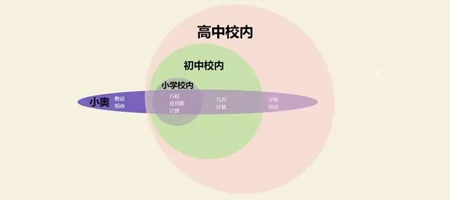 AMC8和奥数，究竟有哪些区别？哪个更适合普娃学习？