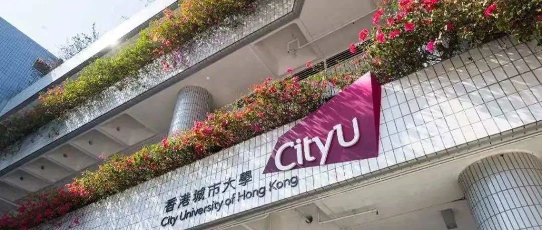 香港城市大学经济金融系博士生导师Prof.CUI申请攻略