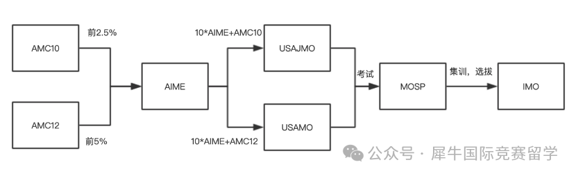 2024年AMC10/12竞赛查分！获奖分数线预测及考后规划