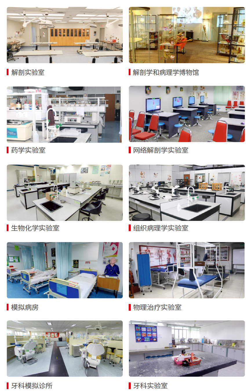 马来西亚林肯大学学院——医学等王牌专业引领留学新选择