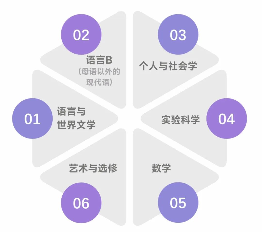 国际学校春秋招必看！4大国际课程体系怎么选？AP、IB、AL、IG体系超全对比来了！