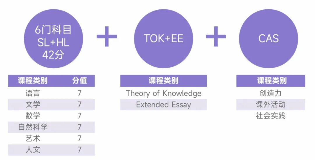 国际学校春秋招必看！4大国际课程体系怎么选？AP、IB、AL、IG体系超全对比来了！