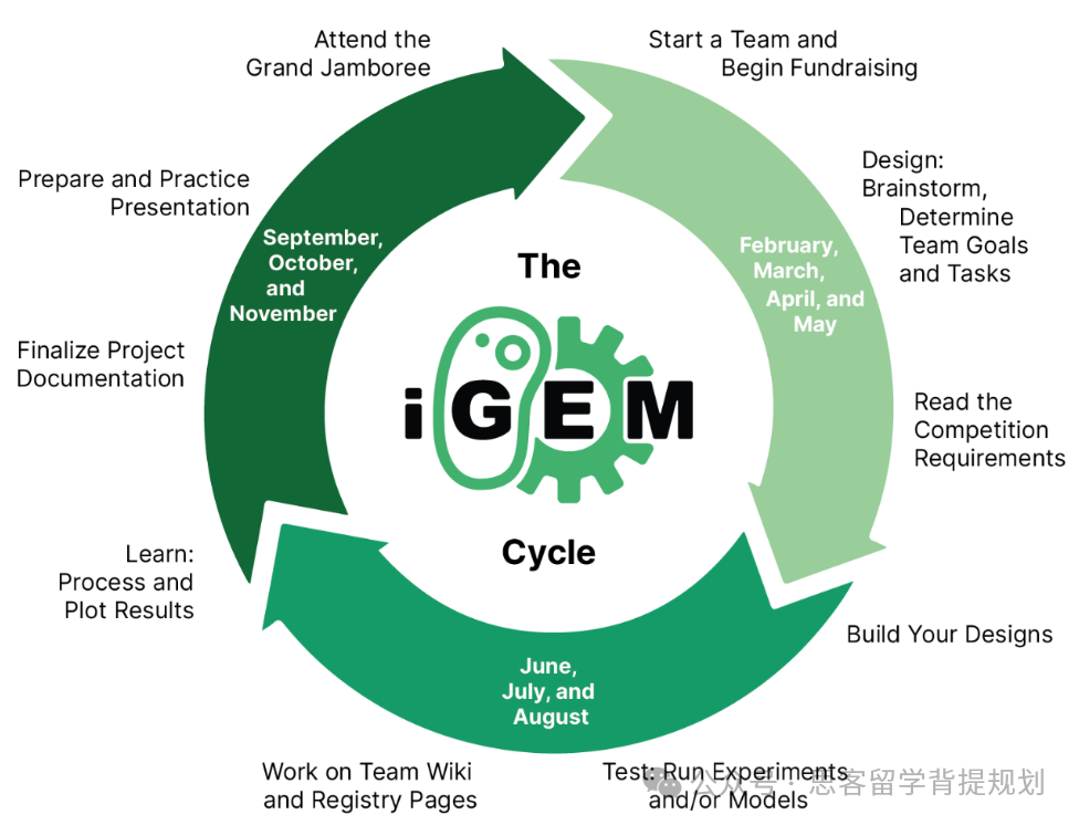 IGEM竞赛入门指南！从六个方面带你详细了解IGEM竞赛！