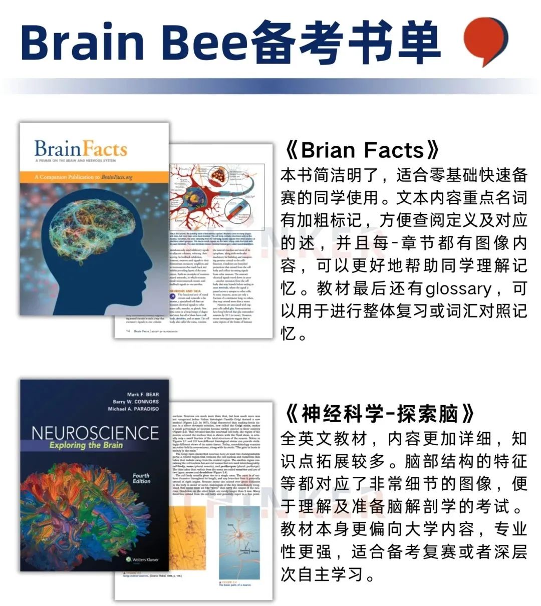 2025年BrainBee竞赛备考指南：时间/报名流程/赛事规则/考试内容！附BrainBee培训班课