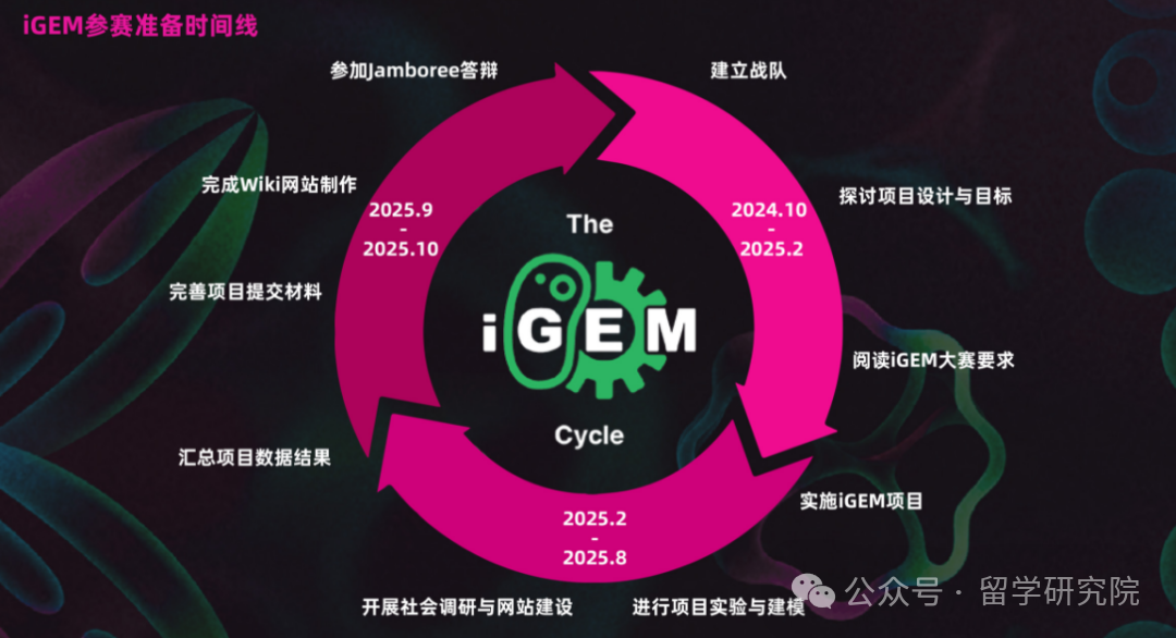 参与iGEM竞赛的四大步流程！附参加iGEM的费用！