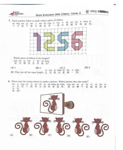 袋鼠竞赛如何报名？可以个人报名吗？