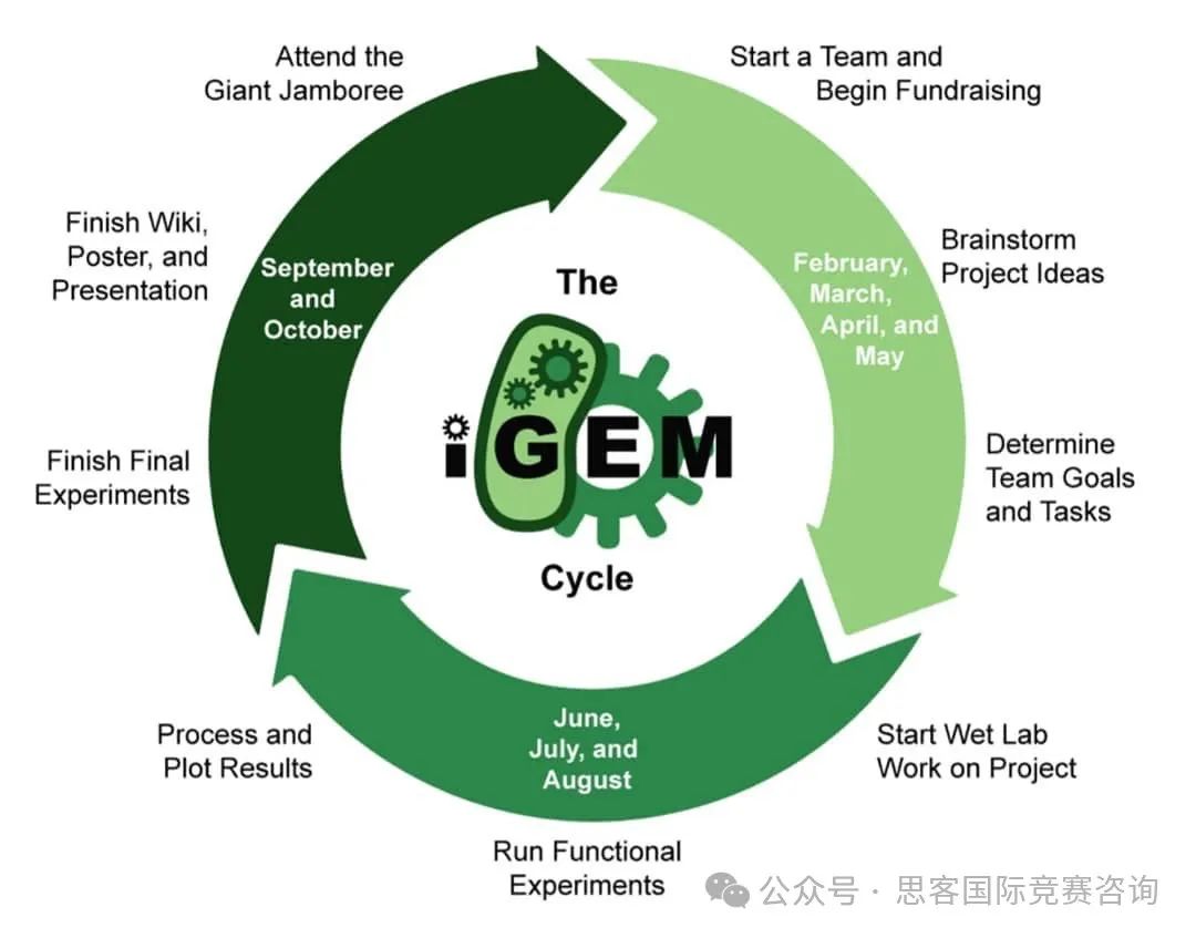 覆盖全学科竞赛——iGEM国际基因工程机器大赛！参加iGEM能收获什么？要怎么打iGEM比赛？