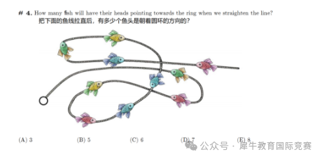 *2025年袋鼠数学竞赛考什么？这些知识点一定要重点复习！