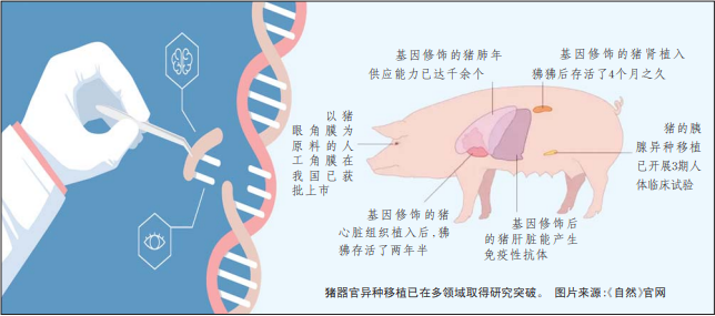 生物技术最前沿：如何通过学习荣誉生物学开拓未来？