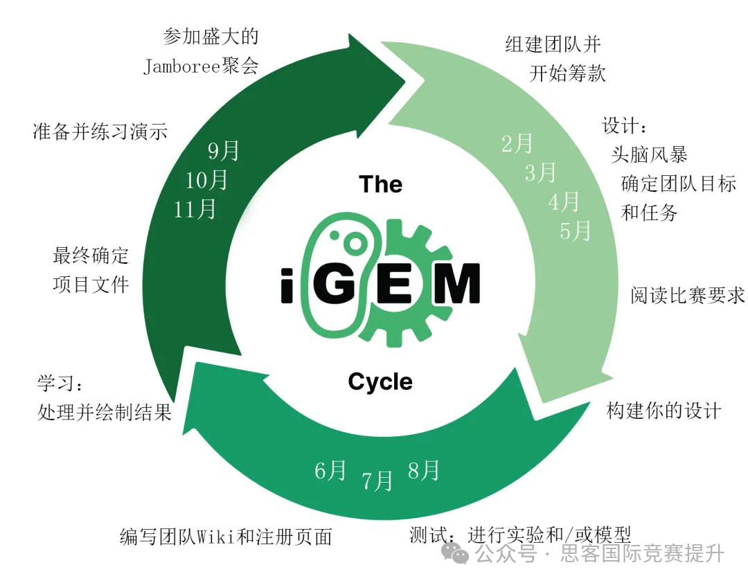 iGEM正式官宣！2025iGEM早鸟注册已开放！应该如何准备iGEM竞赛？