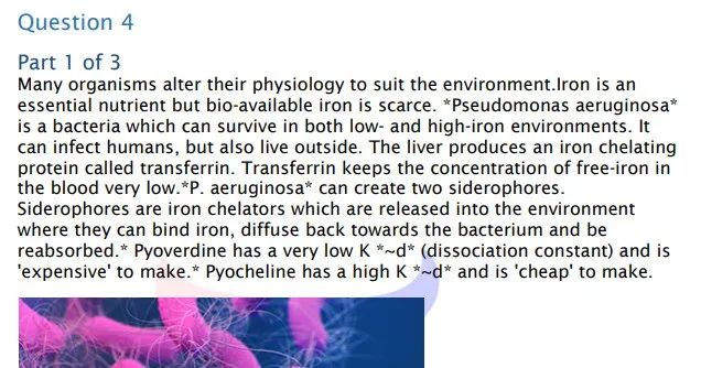 BBO生物竞赛备考难点有哪些？2025年BBO生物竞赛备考规划